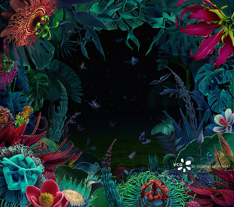 仙女之夜热带花园图片素材