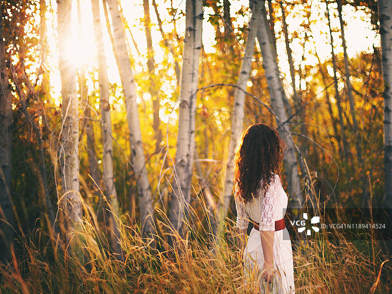 后视图的年轻女子与长波浪红发穿着白色蕾丝连衣裙站在阳光照耀的秋天棉树林图片素材