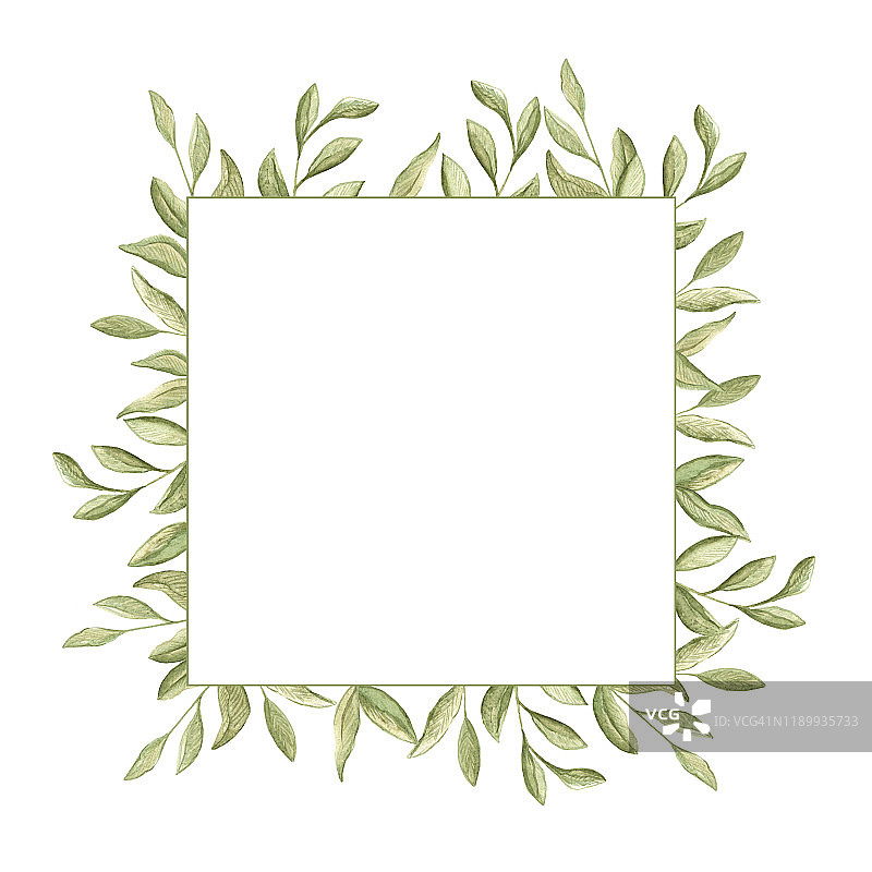 水彩插图方形框架的绿色沼泽树枝与树叶在白色的背景。图片素材