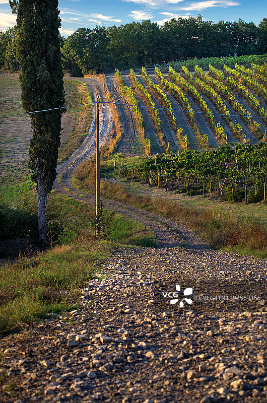 意大利托斯卡纳的乡村公路图片素材