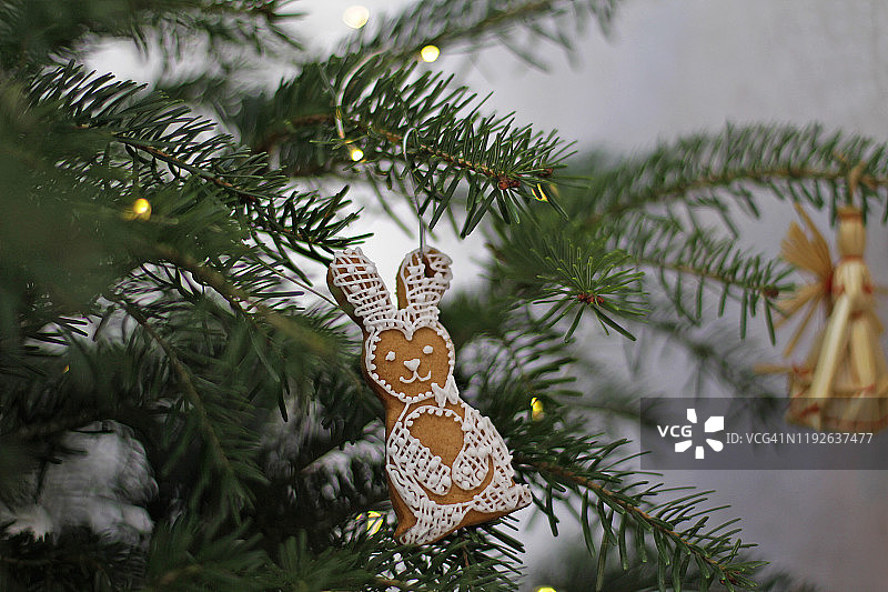 手工饼干挂在圣诞树上的特写图片素材
