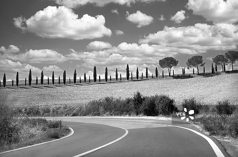 意大利的托斯卡纳乡村公路图片素材