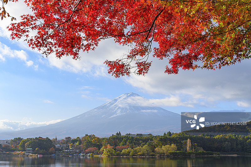 秋日，富士山畔的川口湖上五颜六色的枫树图片素材