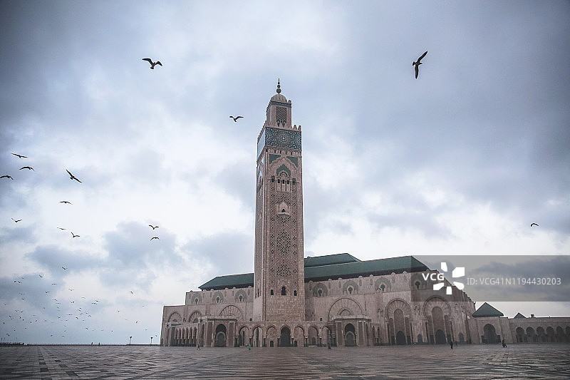 清晨的哈桑二世清真寺，鸟儿在周围飞翔，北非摩洛哥卡萨布兰卡的地标图片素材
