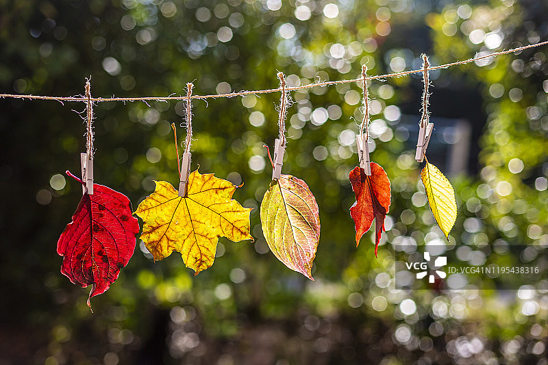 德国，巴伐利亚，兰兹胡特，不同颜色的秋叶挂在晾衣绳上图片素材