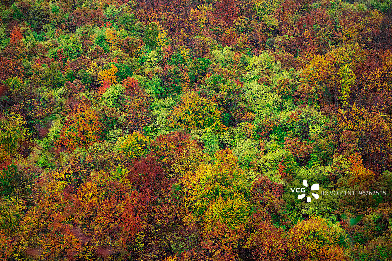 鼓舞人心的秋天的颜色图片素材