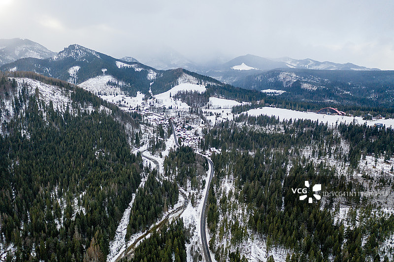 在积雪覆盖的森林，从上到下鸟瞰图图片素材
