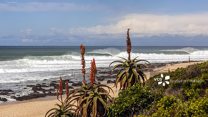 南非，杰弗里湾的海浪图片素材