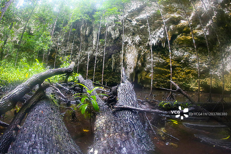 热带湖泊和丛林上方的石灰岩洞穴图片素材