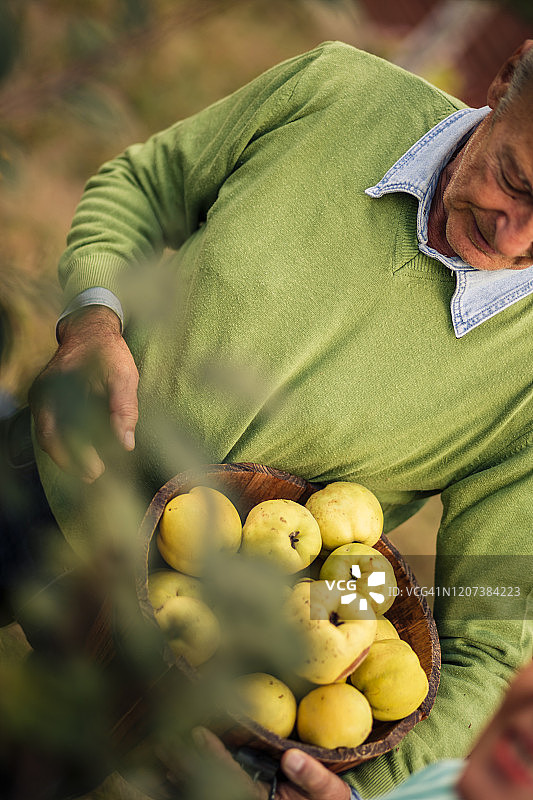 快乐的老人拿着一个篮子，里面装满了他收获的成熟的木瓜图片素材