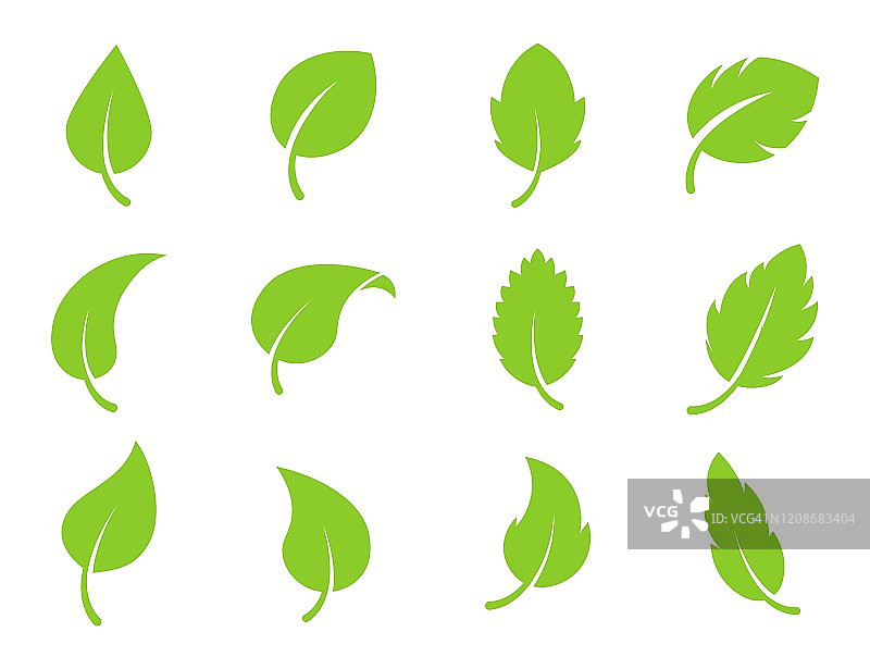 生态叶绿色矢量标志平面图标设置。孤立的叶子形状在白色背景上。生物植物和树木花林概念设计图片素材