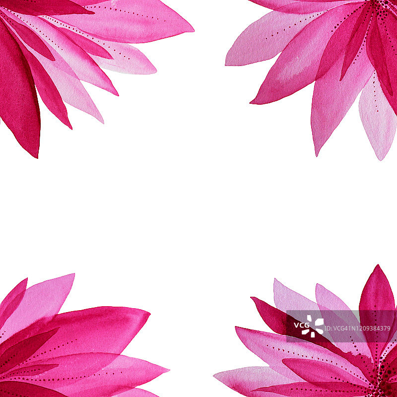 水彩手绘粉红花莲花孤立在白色背景复制空间图片素材