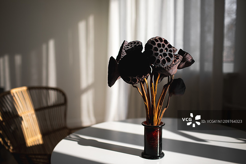 在阳光的早晨，白色的桌子上放着一束荷兰花的种子。室内装饰花。图片素材
