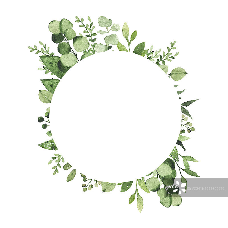水彩几何圆形框架与绿叶，枝，枝植物，草本植物孤立图片素材
