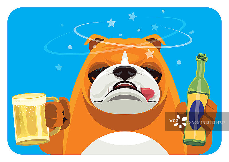 醉醺醺的斗牛犬拿着马克杯和一瓶啤酒图片素材