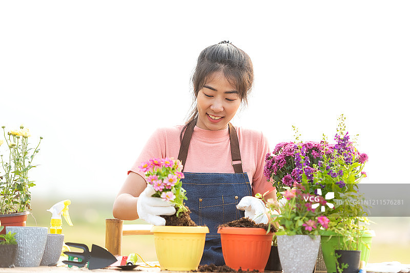 年轻女子在花园里养花。亚洲人爱好和自由园艺户外阳光自然背景。快乐和享受在春天和夏天的一天。生活方式的概念图片素材