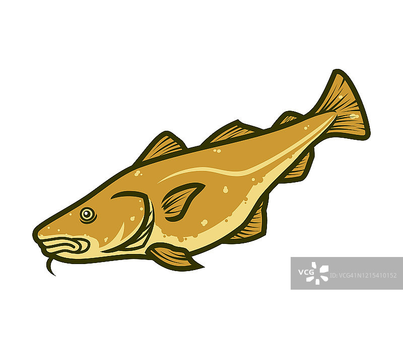 鳕鱼。大西洋鳕鱼卡通向量图片素材