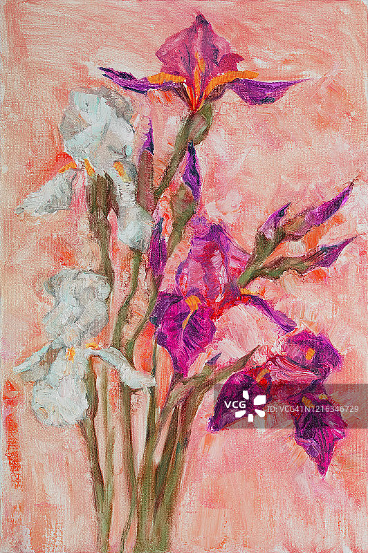 时尚的插图作品艺术寓言春天的花油画印象派垂直的春天傍晚景观明亮的紫色和白色的鸢尾花在长茎他们的蓓蕾被阳光照亮在一个精致的红色背景图片素材