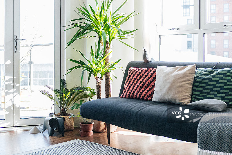 坐垫和沙发在一个现代和明亮的客厅图片素材