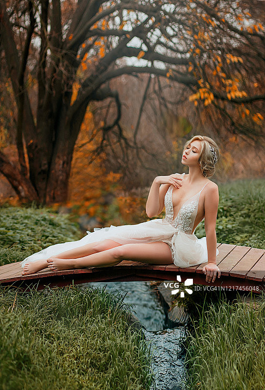 年轻美丽的公主坐在木桥上。女神金发，放松，享受大自然，绿草如茵，小溪里的水，黄叶，秋天，森林，黑树干。白裙长腿修长图片素材