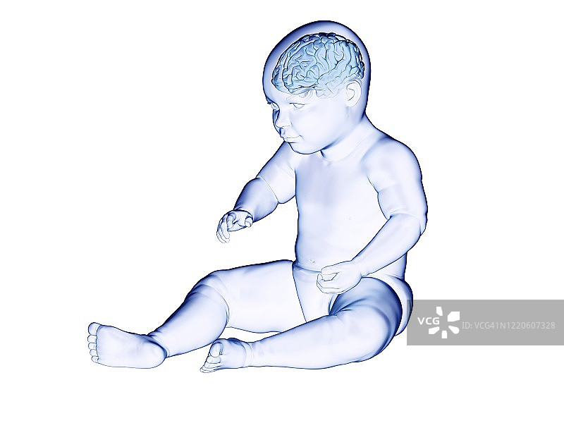 婴儿的大脑，插图图片素材
