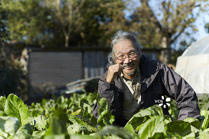 日本农民在他的农场的肖像图片素材