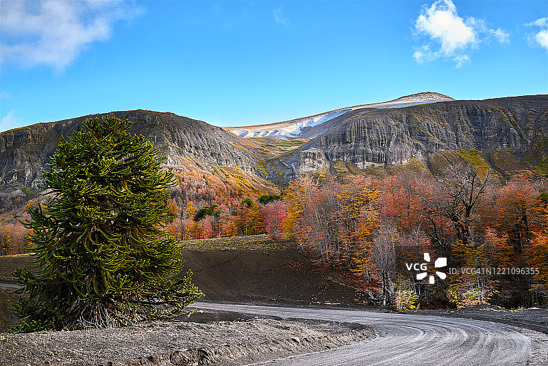 山坡上的路在山峰和秋天的森林之间上升——马拉卡胡洛-纳尔卡斯国家公园图片素材