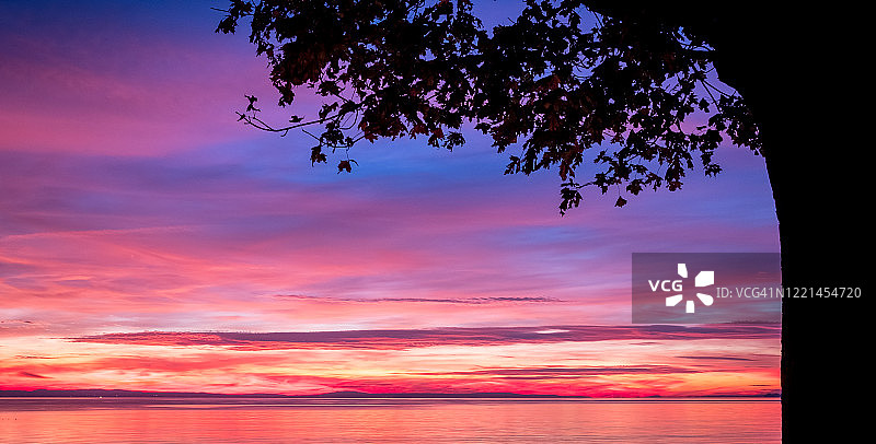 在美妙的黄昏天空中，暗紫色的云与橙色的日光和粉红色的光。林道Bodensee湖背景上的树木剪影图片素材