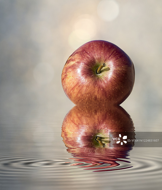 阳光照射下水面上的红苹果。图片素材