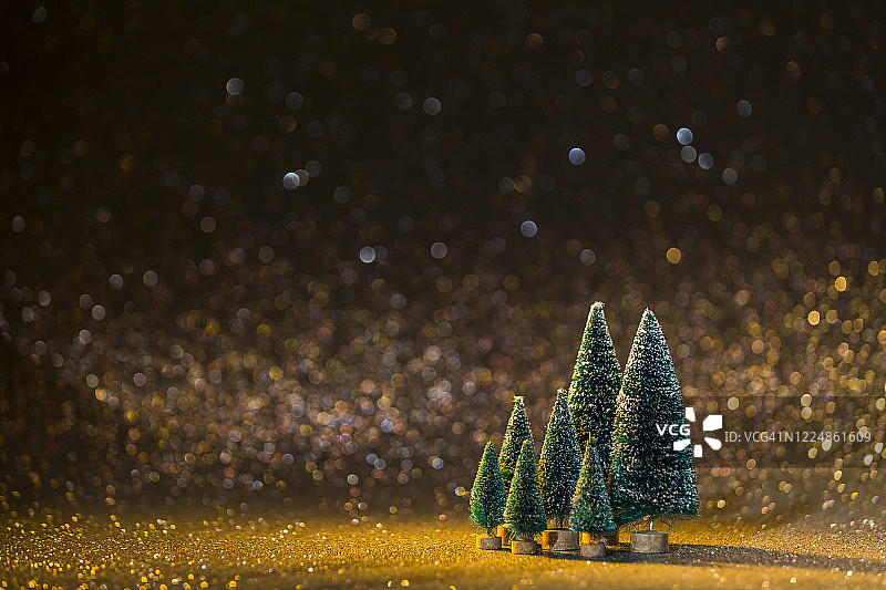 照亮圣诞树在晚上图片素材