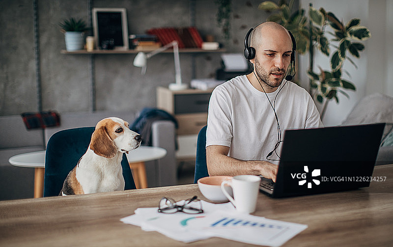一个人在家里用笔记本电脑工作，他的宠物狗就坐在他旁边的椅子上图片素材