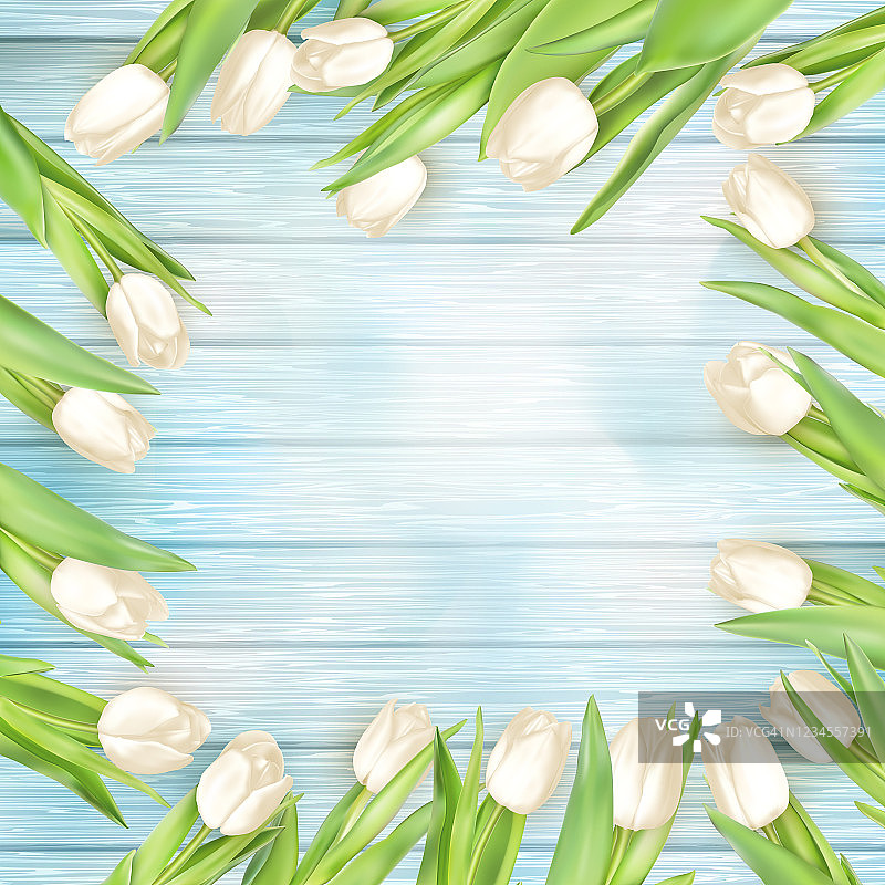 新鲜的白色郁金香在木板上。每股收益10图片素材