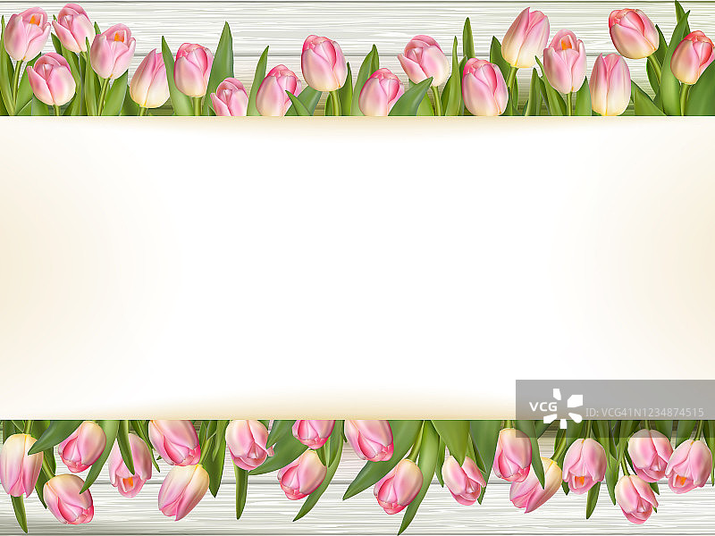粉红色郁金香与文字空间。每股收益10图片素材