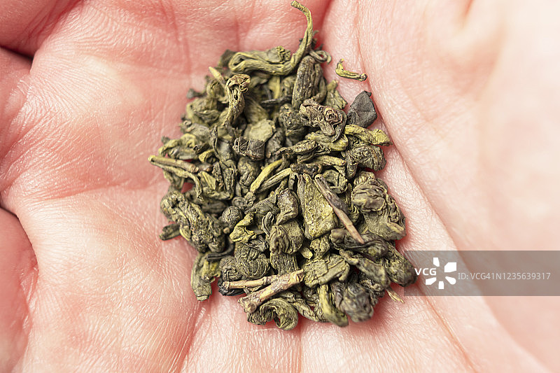 手握绿茶火药特写。一个男人的手掌上的中国传统茶叶图片素材