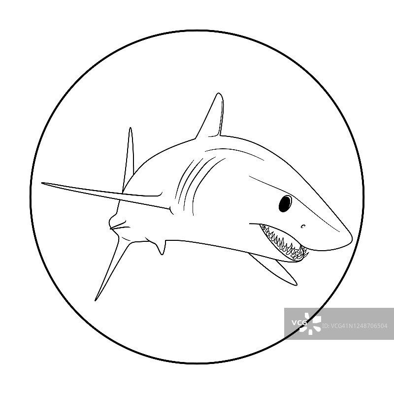 灰鲭鲨。游着圈的鲨鱼。动物插图标志型潜水业务或水下水族馆中心。孤立在白色背景上。深海野生动物捕食者的标志和图标。图片素材