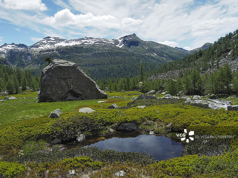 在Alpe di Valdeserta的高山池塘和带有冰川漂移物的高山牧场图片素材