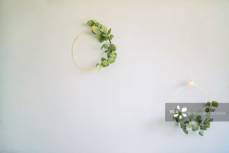灰色的墙上挂着两个桉树花环。图片素材