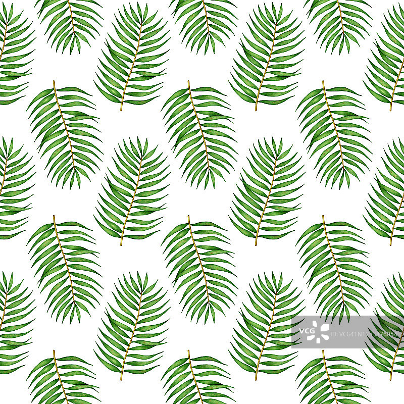 热带叶、椰子树枝的无缝图案。手绘夏季自然背景设计图片素材