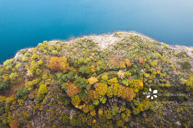 意大利科莫湖秋色斑斓的树木图片素材