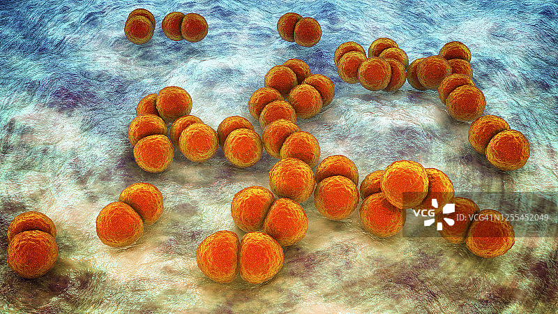 肺炎链球菌，说明图片素材