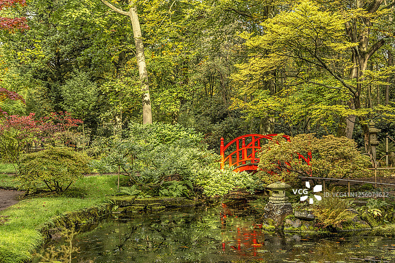 荷兰南荷兰海牙，克林戴尔公园，日本花园的红桥图片素材