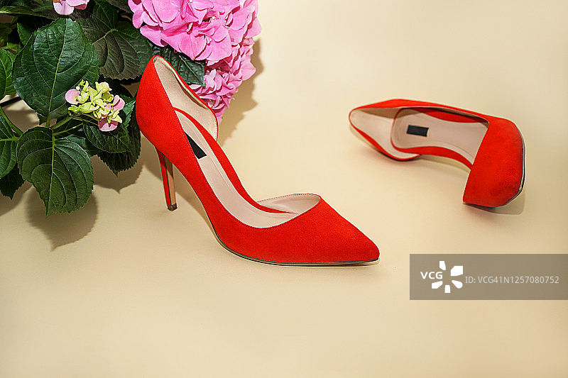 女性时尚奢华的服装红鞋米色背景。图片素材