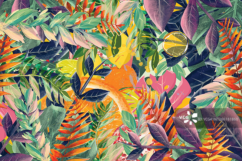 热带水果和树叶背景图片素材
