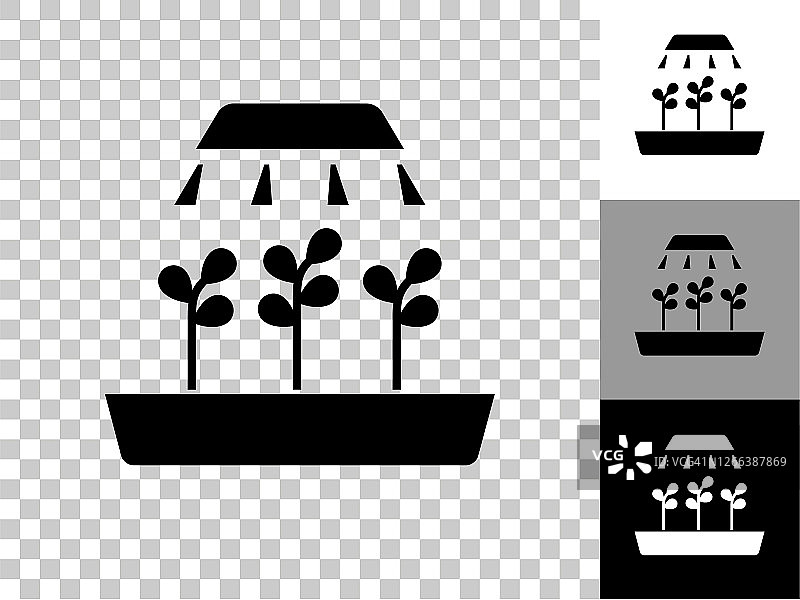 生长的植物图标在棋盘上透明的背景图片素材