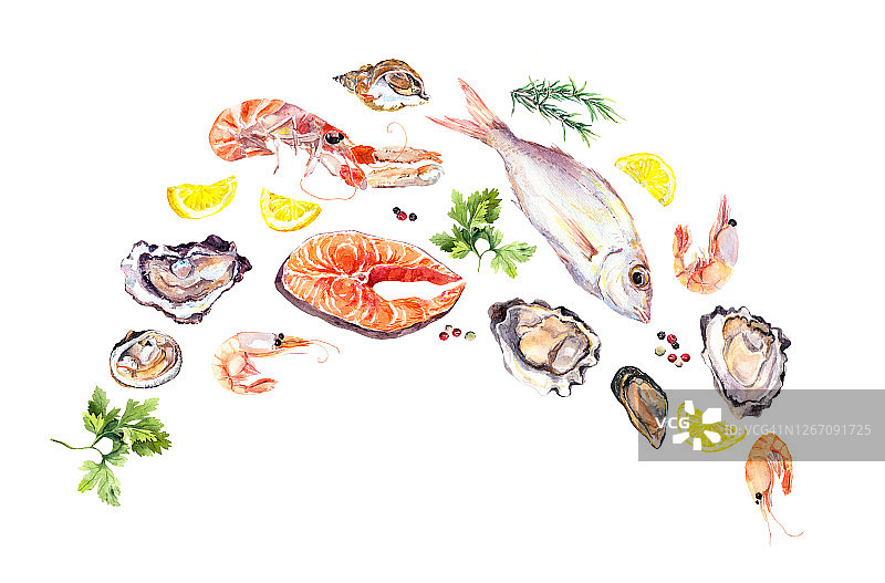 空运海鲜:鱼、鲑鱼、牡蛎、小龙虾、对虾、虾、贻贝、贝类、软体动物。水彩海鲜，柠檬，欧芹图片素材