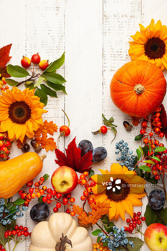用南瓜、向日葵、树叶和浆果组成的秋季作品图片素材