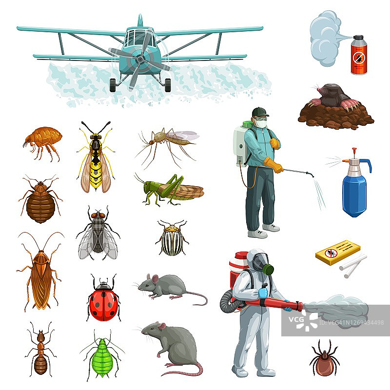 害虫防治漫画集害虫、啮齿动物为一体图片素材