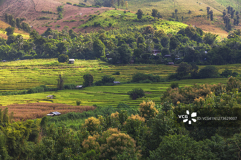 泰国清迈美嘉米梯田的美丽风景图片素材