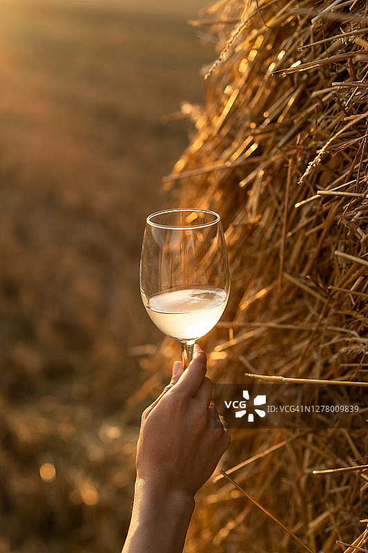 在白俄罗斯，一个女人站在一个干草捆旁边的田地里，手里拿着一杯白葡萄酒，夕阳西下图片素材