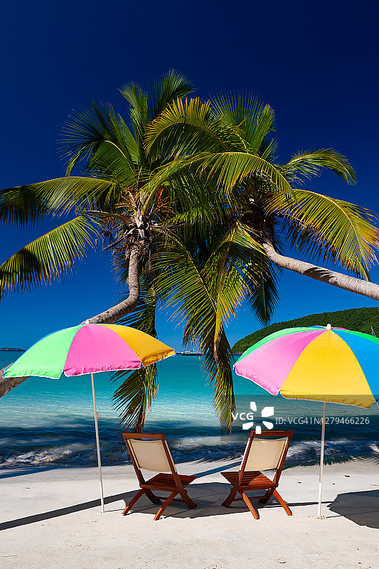 椅子和雨伞下的棕榈树在加勒比热带海滩图片素材